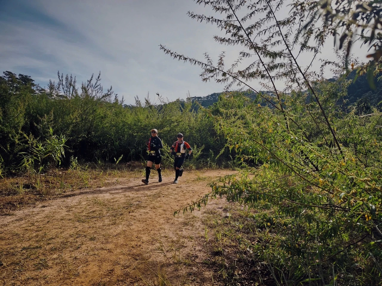 TRAIL5.JPG