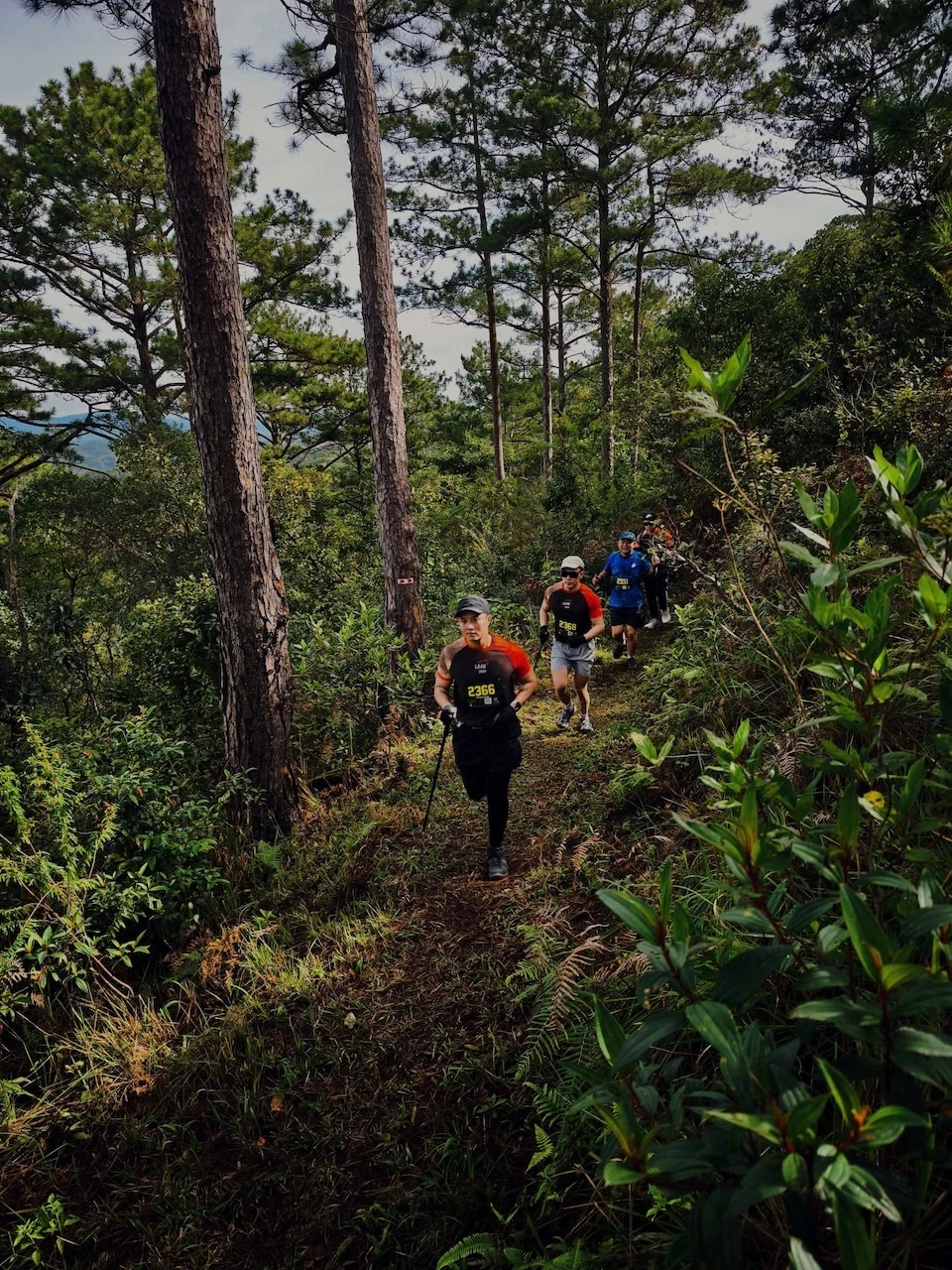 TRAIL7.JPG