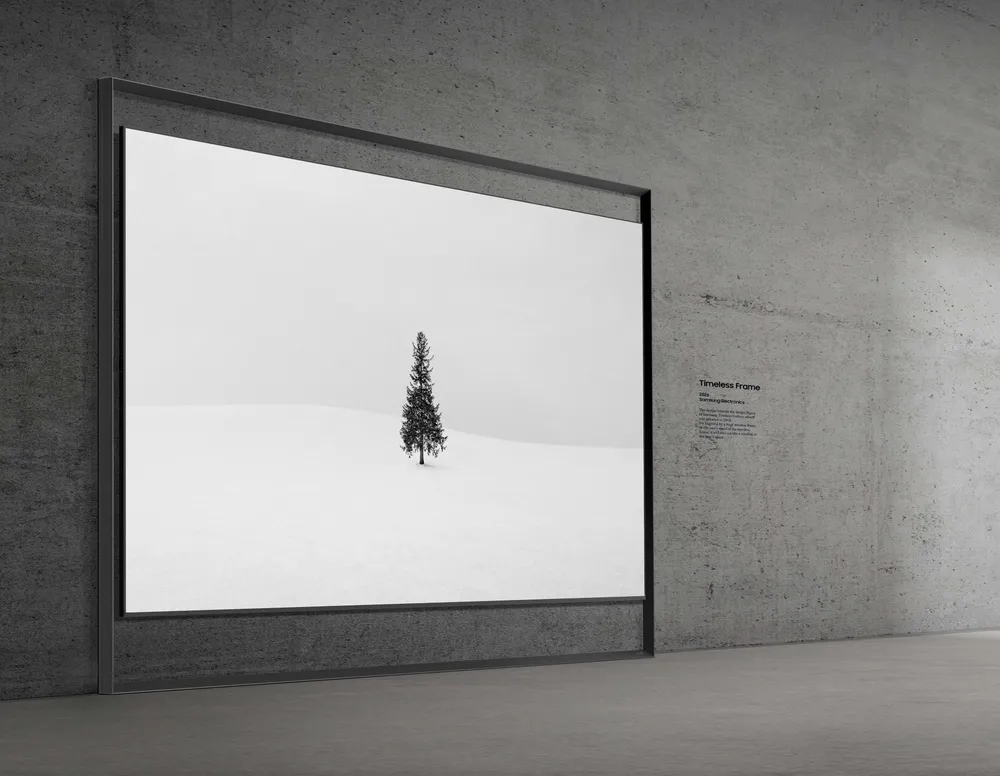 TimelessFrame_01_crop2.jpg